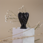 Black Tourmaline Angels