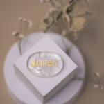 Manifest Coin