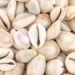 kaudi (per 50 gram)